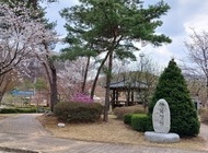 공주사랑요양원 봄 풍경